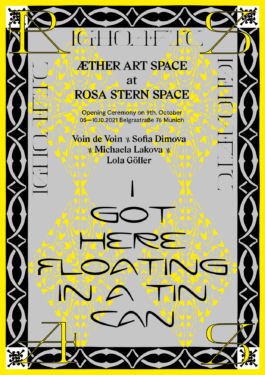 Rosa Stern Space