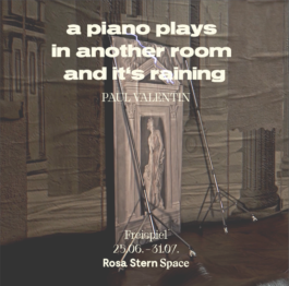 Rosa Stern Space