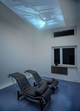 Rosa Stern Space