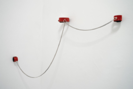 Rosa Stern Space