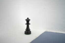 Rosa Stern Space
