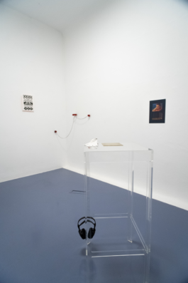 Rosa Stern Space