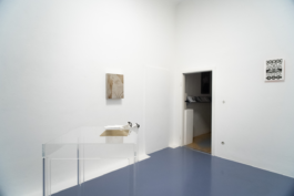 Rosa Stern Space