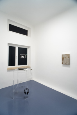 Rosa Stern Space